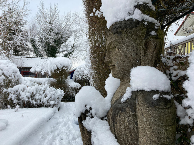 Buddha im Schnee