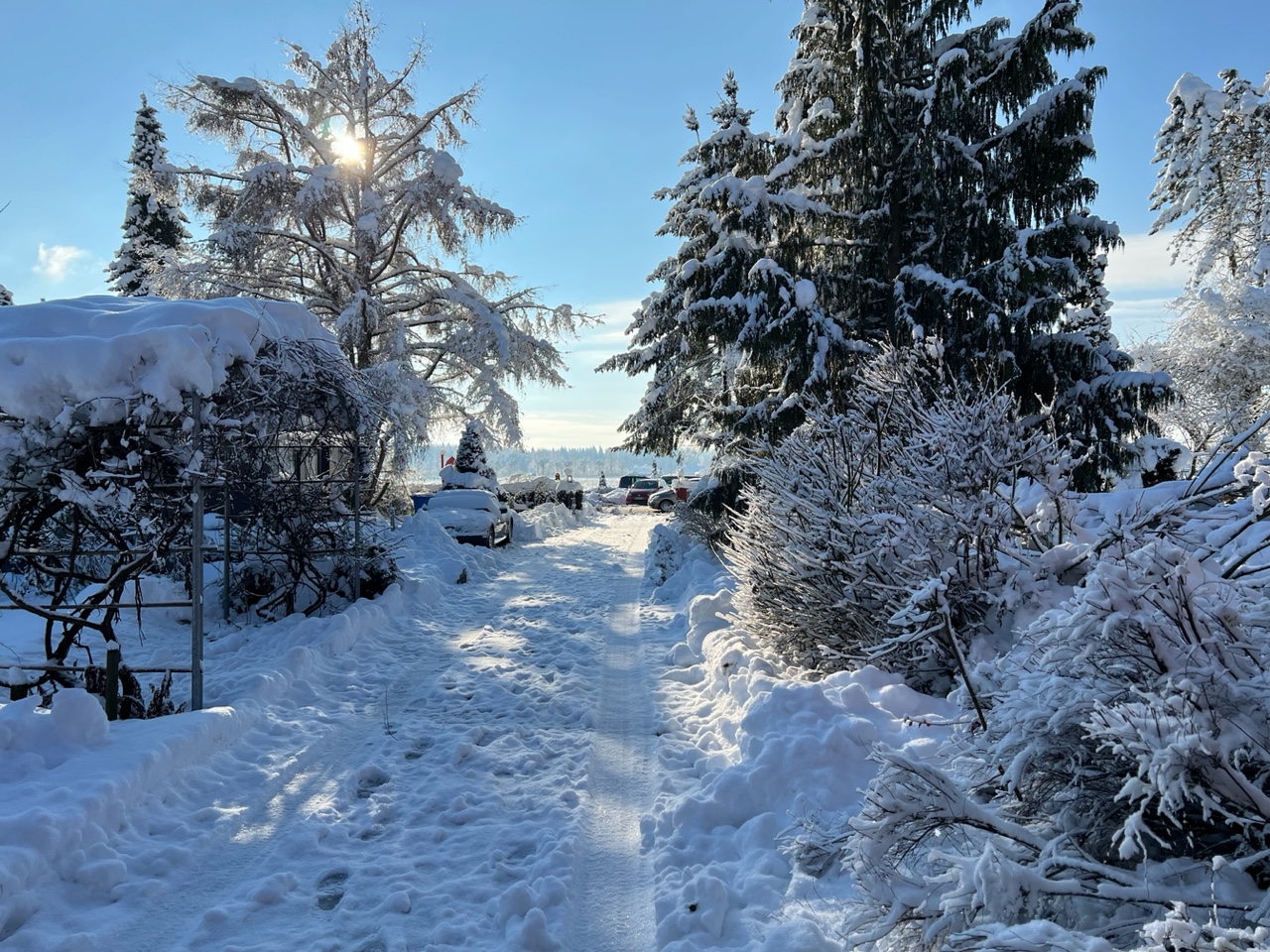 Verschneite Einfahrt